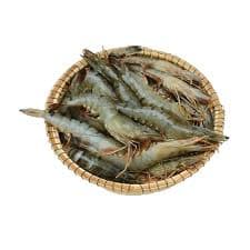 বাগদা চিংড়ি ৫০০ গ্রাম